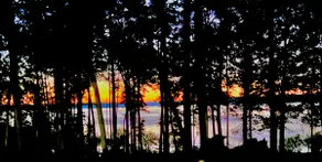 ”Lakeside Bliss: Charming Cabin Retreat for 6” - Image 4