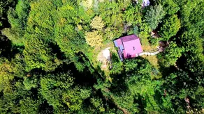 Mystically Wood House in The Forest - Image 3
