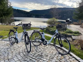 Schluchsee, Villa Seepark - Image 2