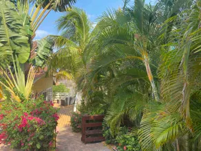 Cozy Apartment in Jan Thiel Curacao near  Beach - Image 2
