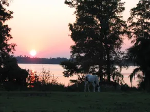 Unique lakefront property 6 acres! - Image 3