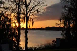 Unique lakefront property 6 acres! - Image 5