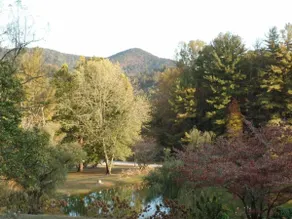 Cabin #1 in Dillard Chalet Village beautiful view - Image 5