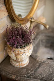 Romantic Maple tree apartment - Image 4