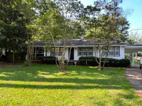 Little Fern’s Hideaway - Image 2