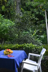 Villa La Cachette - Image 2