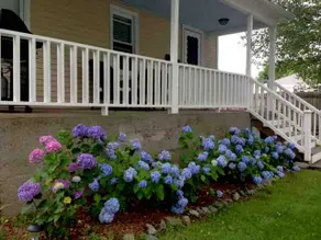 Jamestown Conanicut Island Retreat - The Island Life! - Image 2