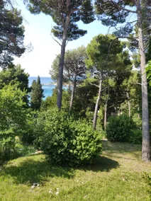 Villa Ankon Mlini (Dubrovnik) **** - Image 3