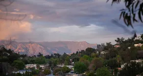 Echo Park Coral Tree House w Garden, Skyline Views - Image 3