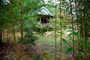 Juniper Pines Cottage - Image 5