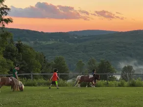 100 Acres • Horses • Fish Pond - Image 3