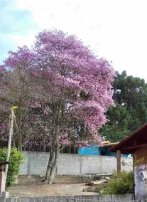 Recanto dos Ipês - Image 5