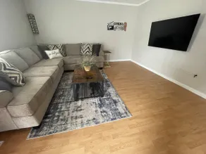 Comfy/Arcade/Cedar Pt/Kalahari/Summit Ra/Cornhole - Image 3