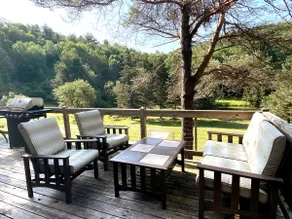 Newly Renovated Cabin - 15 Private Acres & 2 Ponds - Image 4