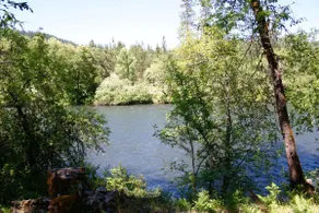 Log Cabin w/Treehouse & Zip Line on Rogue River - Image 3