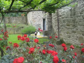 fabulous barn+pool near Florence - Image 4