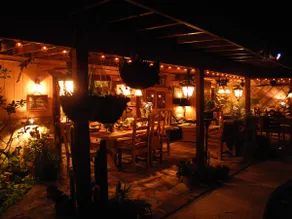 Desert Oasis-Ambiance! Lush! - Image 2