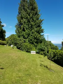 Villa in Park with Spectacular Lake View - Image 4