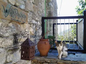 Villa Panayiota - Image 2