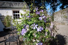 Clematis Cottage, une vue plongeante sur le Loch Etive - Image 5