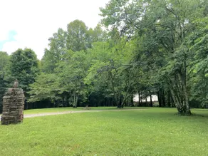 Maxwell Mountain Cottage-private home in the woods - Image 2