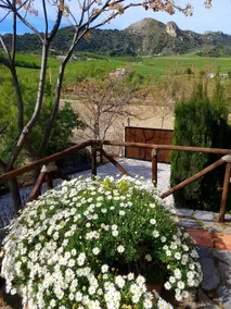 Dream House near Ronda & Setenil - Image 2