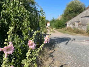 La Petite Maison - Image 3
