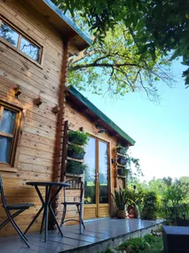 Treehouse - Image 4