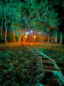 Cabin in the Forest - ND - Image 4