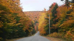 Four-Season Getaway on Upper Cold Stream Pond - Image 3