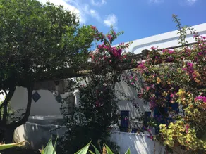 Central Villa in Panarea - Image 2