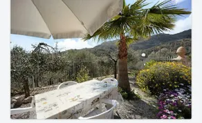 THE TAVERN among the olive trees - Image 4