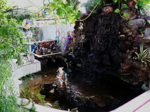 The Garden (town area, near Jonker, pet friendly) - Image 5