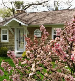 Indian Lake Treehouse Waterfront Cottage - Image 3