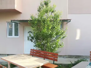 Apartment Jovana - Image 3