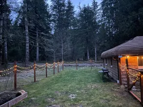 Cozy Cottage 1/2 mile from Mt Rainier - Image 3