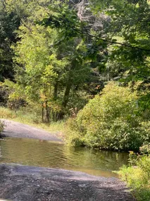 Over the River and Through the Woods - Image 5