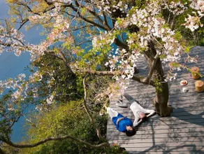 Izu Cliff House. Open Ocean Views. National Park. - Image 3