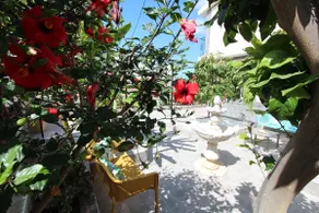 ViVa Tropical: Gorgeous villa with heated pool - Image 5