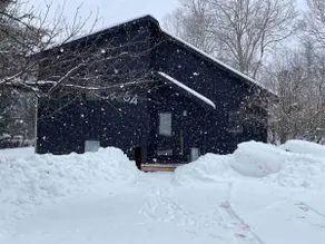 Modern White Mountain Cottage - Image 2
