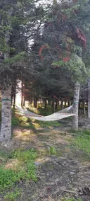 NEK Base Camp and Retreat w/ Sauna - Image 3