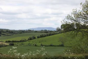 Alices Loft & Cottages - Image 3