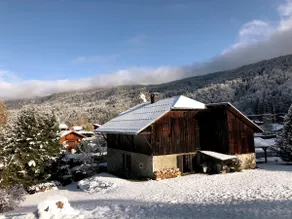 Authentic renovated Chalet - Premium BBQ, garden - Image 3