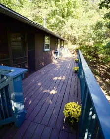 Cozy Romantic Cabin with Fire Pit Near Shenandoah NP - Image 5