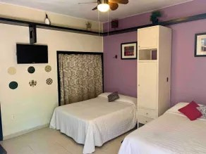C1 Lovely Studio San Angel - Image 2