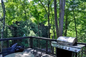 The House at High Falls - 2.5hrs from NYC & PHL - Image 3