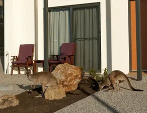Rabans Retreat - Image 3