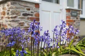 Delightful Cottage i Millbrook, Cornwall nær kysten. - Image 4