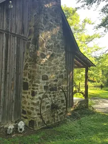 Cabin on Robbins Nest Pond - Image 2