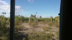 Fun Guesthouse on 4 Acres of Natural Desert! - Image 4
